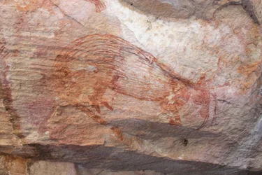 ポーチから突き出ているジョーイ足と赤いワラビー